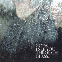 I See You Through Glass
