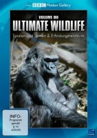 BBC Motion Gallery Ultimate Wildlife Vol. 6 Spielen und Lernen & Erfindungsreichtum