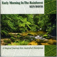 Early Morning in the Rainforest