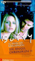 Buffy, Im Bann der Dämonen, Die Angel Chroniken  2