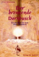 Der brennende Dornbusch. Geschichten aus dem Alten Testament. Ab 12 Jahre