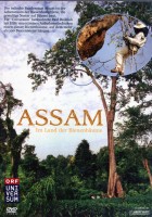 Assam - Im Land der Bienenbäume